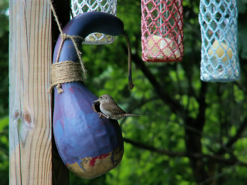 Finding Solutions to Microplastic Pollution